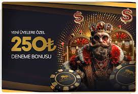 Kingbetting Yeni Başlayanlar için Rehber